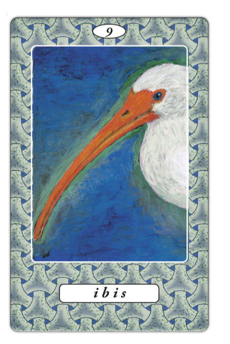 Karta Ibis
